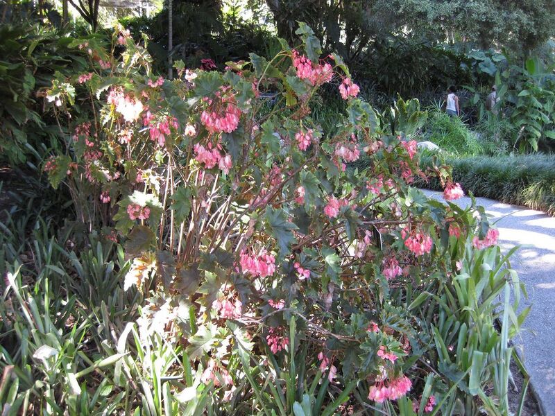 File:1280px-IMG 2016 hunt09oct.jpg