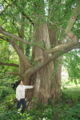 Thumbnail for version as of 05:21, 16 October 2007