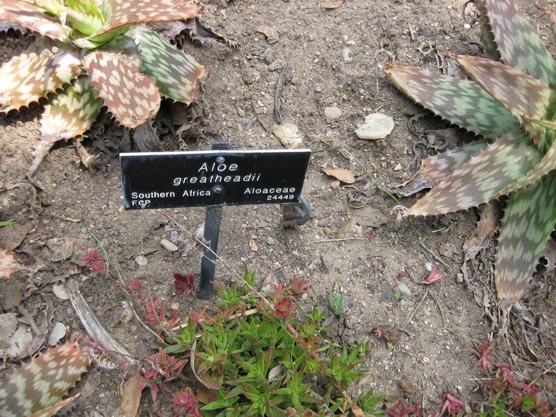 File:1280px-IMG 4342 hunt0904.jpg