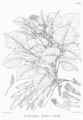 Thumbnail for version as of 10:05, 29 April 2025