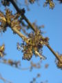 Thumbnail for version as of 09:37, 30 April 2007