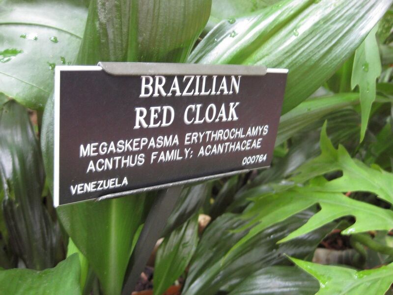 File:1280px-IMG 1034 bbg09.jpg