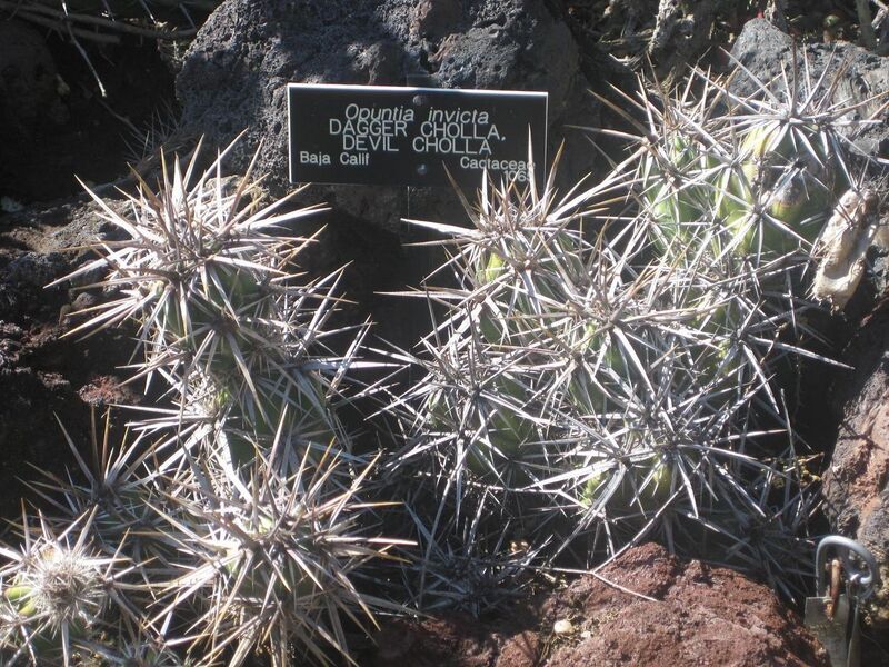 File:1280px-IMG 2417 hunt0903.jpg