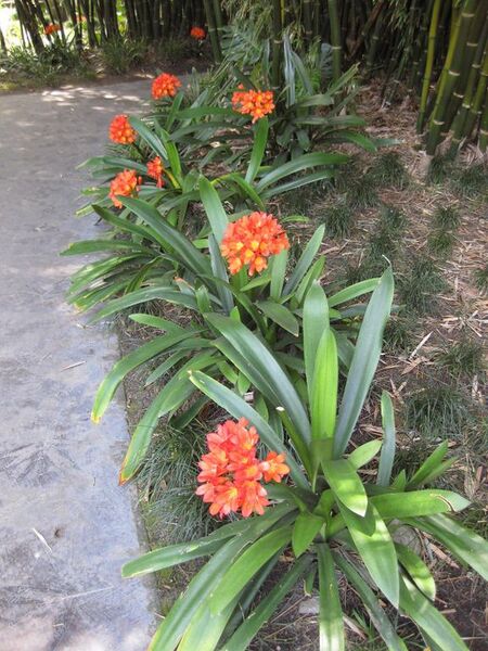 File:576px-IMG 4193 hunt0904.jpg