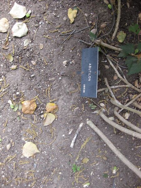 File:576px-IMG 5128 hunt0904.jpg