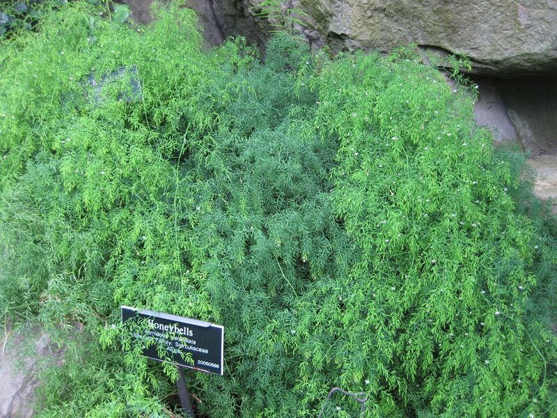 File:1280px-IMG 1227 bbg09.jpg