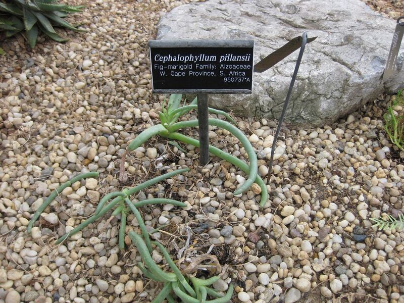 File:1280px-IMG 1283 bbg09.jpg