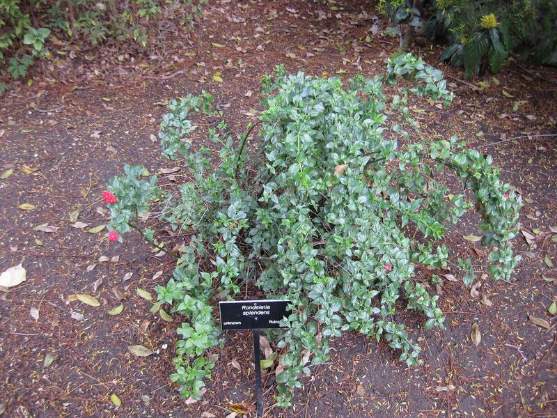 File:1280px-IMG 5006 hunt0904.jpg