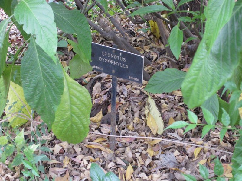 File:1280px-IMG 5168 hunt0904.jpg