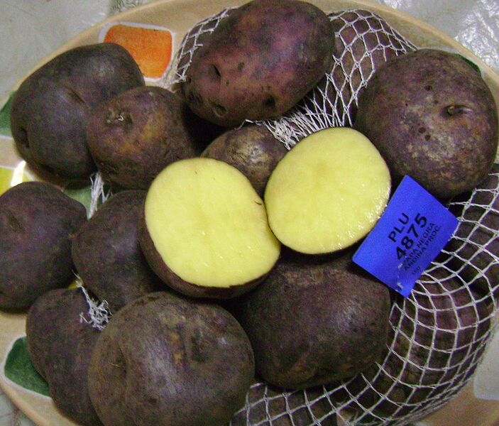 File:900px-Andean black potato 2.JPG
