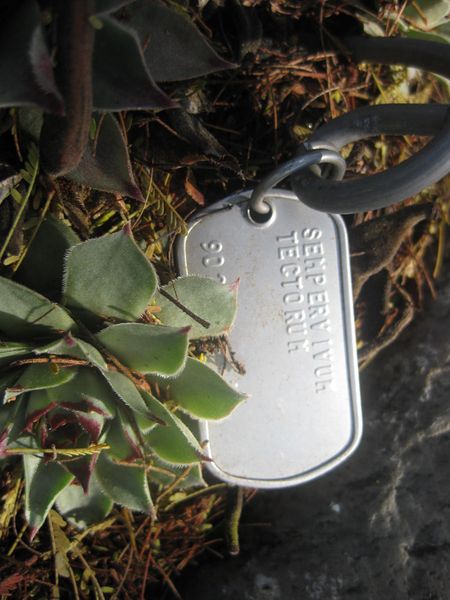 File:IMG 2355 hunt0903.jpg