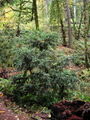 Thumbnail for version as of 12:12, 27 October 2007