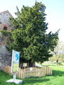 Thumbnail for version as of 11:11, 27 October 2007