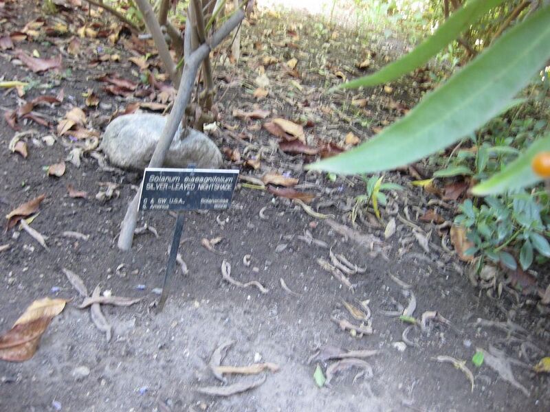 File:1024px-IMG 1999 hunt09oct.jpg