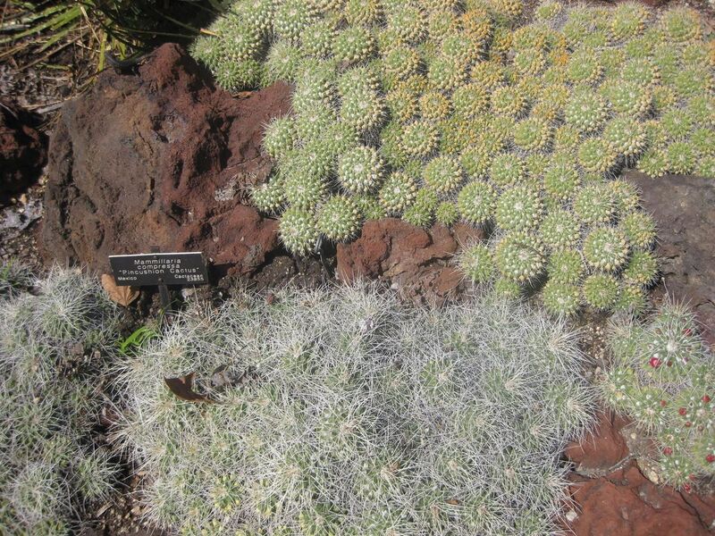 File:1280px-IMG 2248 hunt0903.jpg