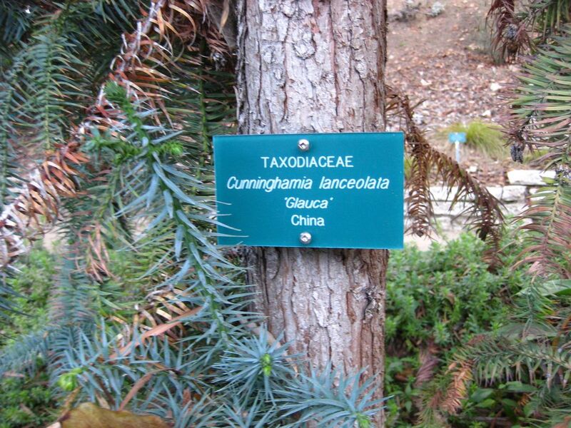 File:1280px-IMG 2608 ucla09.jpg