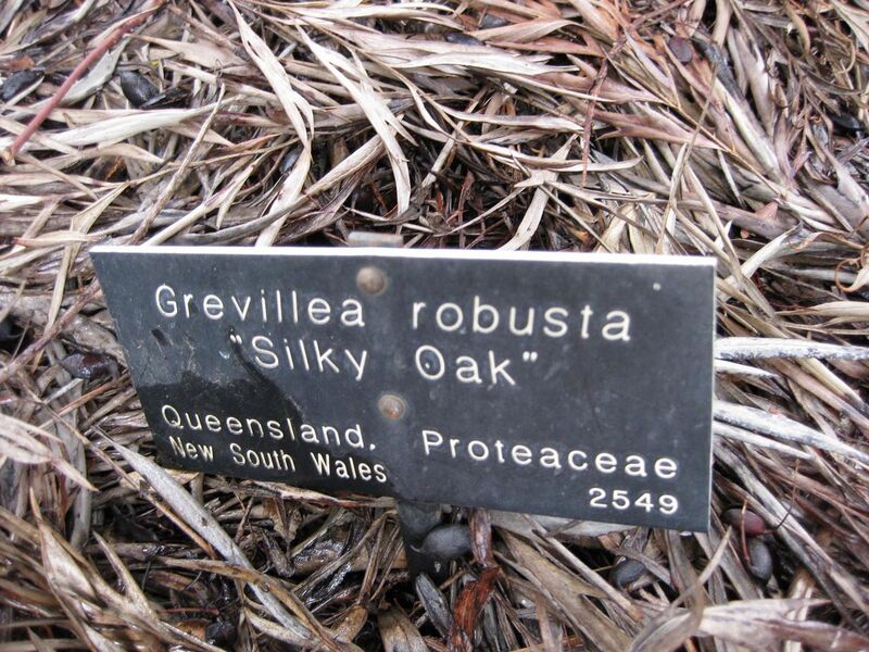 File:1280px-IMG 4716 hunt0904.jpg