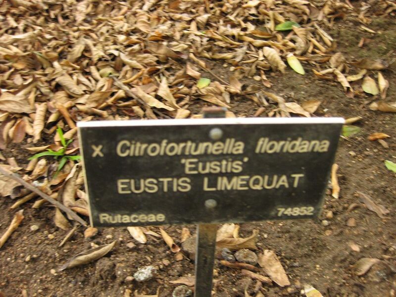 File:1280px-IMG 6922 hunt09jun.jpg