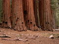 Thumbnail for version as of 06:40, 22 November 2007