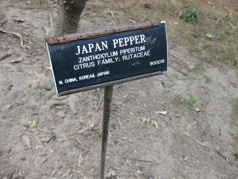 File:1024px-IMG 1313 bbg09.jpg