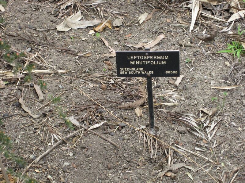 File:1280px-IMG 4658 hunt0904.jpg