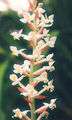 Thumbnail for version as of 11:41, 2 May 2007