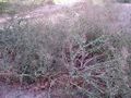 Thumbnail for version as of 09:28, 29 April 2025
