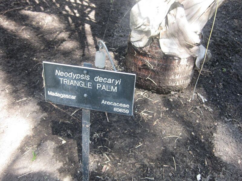 File:1280px-IMG 2086 hunt0903.jpg