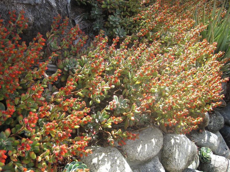 File:1280px-IMG 2261 hunt0903.jpg