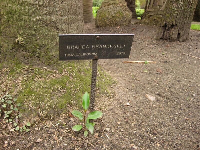 File:1280px-IMG 4067 hunt0904.jpg