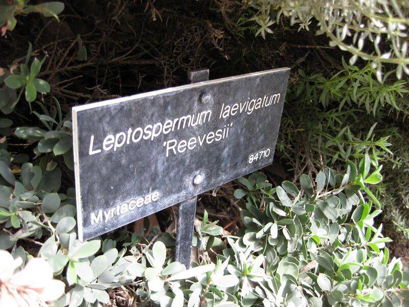 File:1280px-IMG 4525 hunt0904.jpg