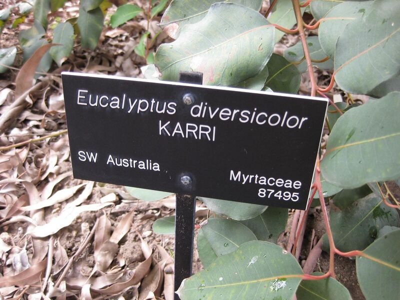 File:1280px-IMG 4672 hunt0904.jpg