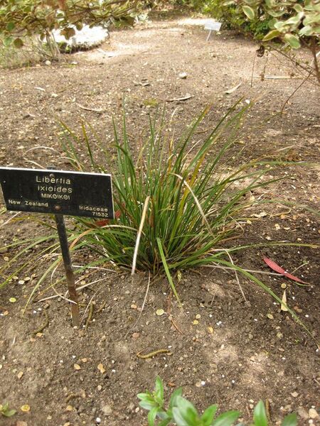 File:576px-IMG 7350 hunt09jun.jpg