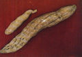 Thumbnail for version as of 12:00, 21 June 2007