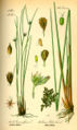 Thumbnail for version as of 19:23, 15 November 2007