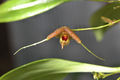 Thumbnail for version as of 13:34, 23 July 2007