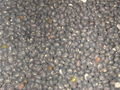 Thumbnail for version as of 04:47, 19 July 2007