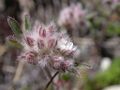 Thumbnail for version as of 09:55, 29 April 2025