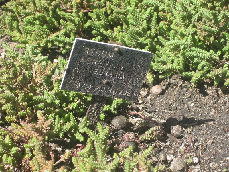 File:1280px-IMG 2154 hunt0903.jpg