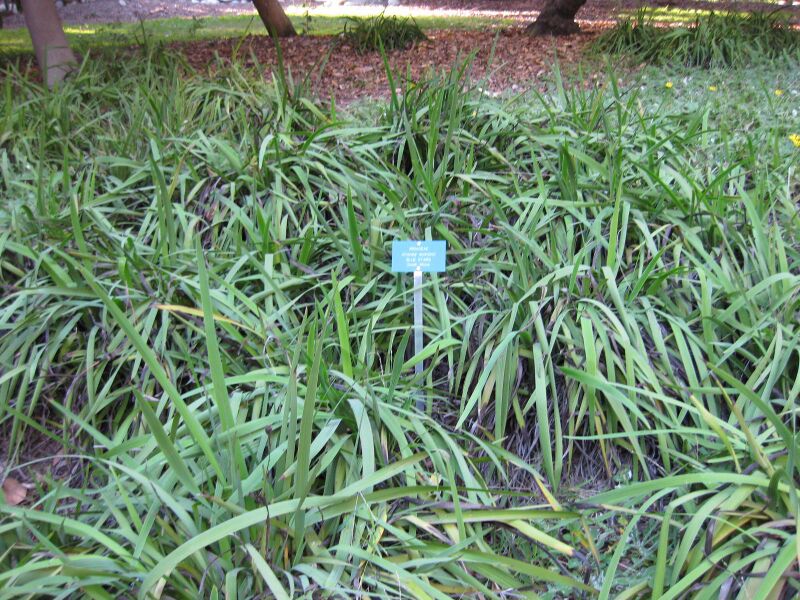 File:2mxla3yhjbo4s40vkywbs7a4jafthyh.jpg