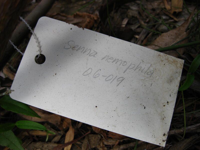 File:3r2r4z8b6jn43bhuz30jmonbll8lhn1.jpg