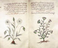 Thumbnail for version as of 04:15, 15 September 2007