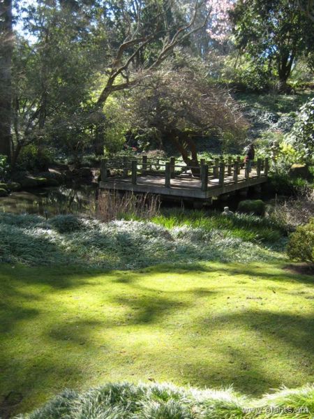 File:Japanese garden-IMG 8071 sfbg0308.jpg