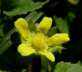 Thumbnail for version as of 10:27, 29 August 2007