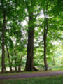 Thumbnail for version as of 07:14, 27 April 2007