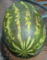 Thumbnail for version as of 15:39, 20 May 2007