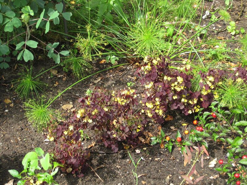 File:1280px-IMG 0850 bbg09.jpg