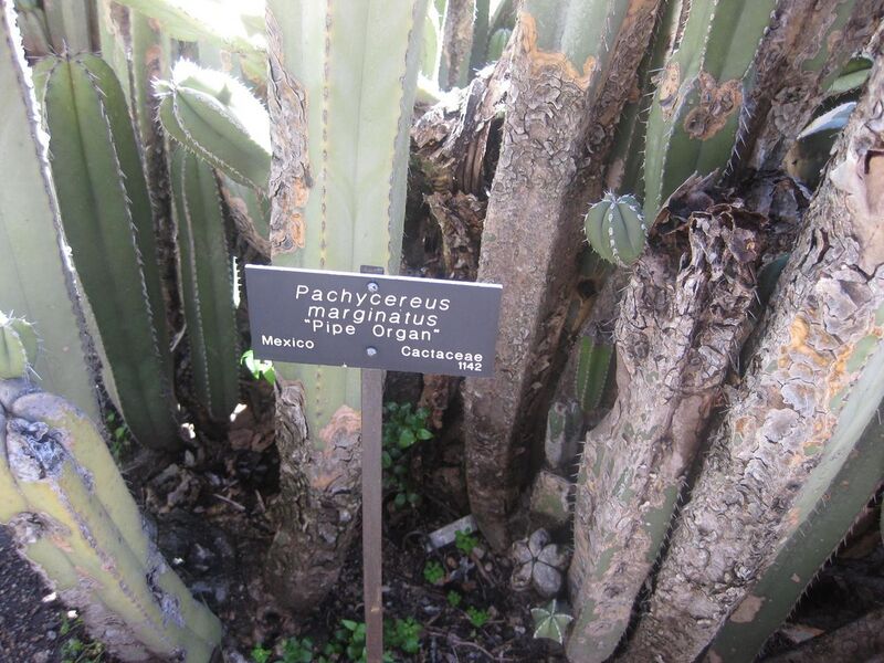 File:1280px-IMG 2163 hunt0903.jpg