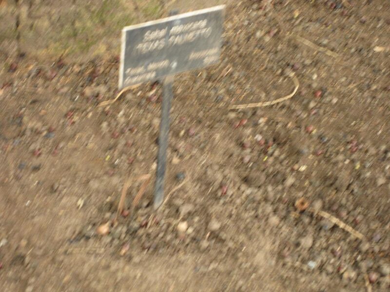 File:1280px-IMG 3973 hunt0904.jpg