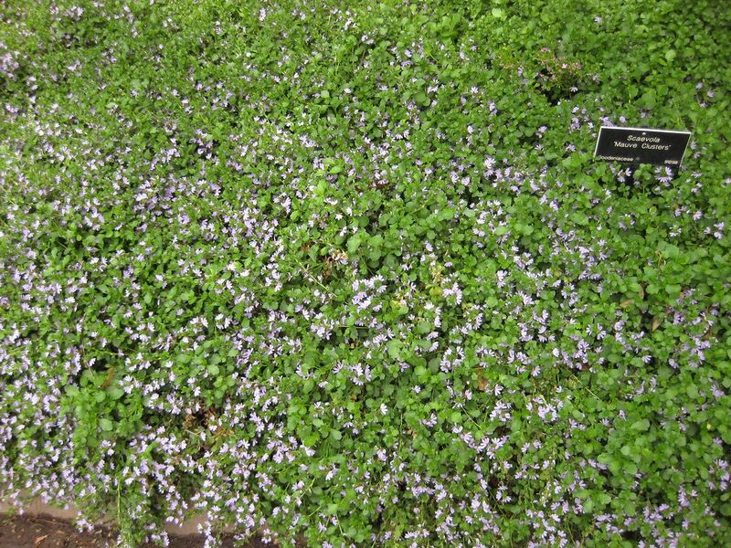 File:1280px-IMG 7318 hunt09jun.jpg